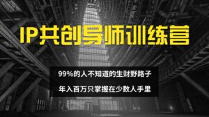 (12504期)IP共创导师训练营 99%的人不知道的生财野路子 只掌握在少数人手里-中创网_分享创业项目_助您在家赚钱