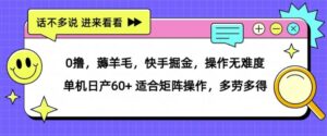 0撸,薅羊毛,快手掘金,操作无难度 单机日产30+ 适合矩阵操作,多劳多得-中创网_分享创业项目_助您在家赚钱