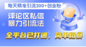 (12714期)评论区私信暴力引流法,每天精准引流300+创业粉,全平台已打通,简单粗暴-中创网_分享创业项目_助您在家赚钱