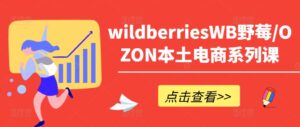 wildberriesWB野莓/OZON本土电商系列课,掌握WB产品优化,出单技巧和订单处理等-中创网_分享创业项目_助您在家赚钱