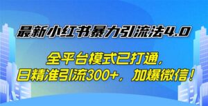 (12505期)最新小红书暴力引流法4.0, 全平台模式已打通,日精准引流300+,加爆微…-中创网_分享创业项目_助您在家赚钱