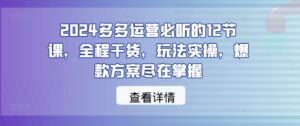 2024多多运营必听的12节课,全程干货,玩法实操,爆款方案尽在掌握-中创网_分享创业项目_助您在家赚钱