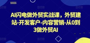 AI闪电做外贸实战课,外贸建站-开发客户-内容营销-从0到3做外贸AI(更新)-中创网_分享创业项目_助您在家赚钱