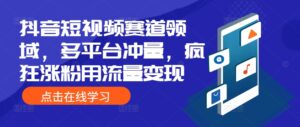 抖音短视频赛道领域，多平台冲量，疯狂涨粉用流量变现-中创网_分享创业项目_助您在家赚钱