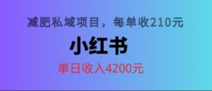 小红书减肥私域项目,每单210元,单日可卖出15单,利润3150-中创网_分享创业项目_助您在家赚钱
