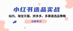 小红书选品实战:站内、淘宝天猫、拼多多,多渠道选品策略-中创网_分享创业项目_助您在家赚钱