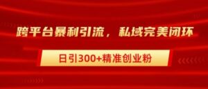 跨平台暴力引流,私域完美闭环,日引100+精准创业粉-中创网_分享创业项目_助您在家赚钱