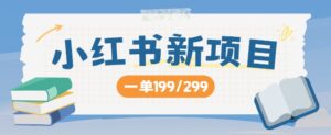 小红书新项目，一单199 一天买好几单，月入过W不是梦-中创网_分享创业项目_助您在家赚钱