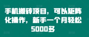 手机搬砖项目,可以矩阵化操作,新手一个月轻松5000多-中创网_分享创业项目_助您在家赚钱