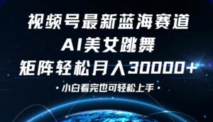 (12594期)视频号最新蓝海赛道,小白也能轻松月入30000+-中创网_分享创业项目_助您在家赚钱