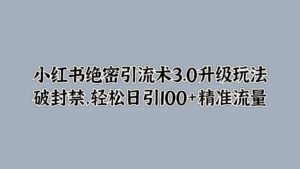 小红书绝密引流术3.0升级玩法,破封禁,轻松日引100+精准流量-中创网_分享创业项目_助您在家赚钱
