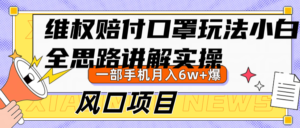 维权赔付口罩玩法，小白也能月入6w+，风口项目实操-中创网_分享创业项目_助您在家赚钱