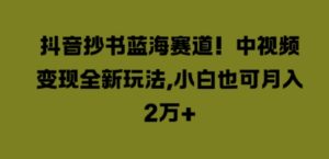抖音抄书蓝海赛道,中视频变现全新玩法,小白也可月入2W+-中创网_分享创业项目_助您在家赚钱