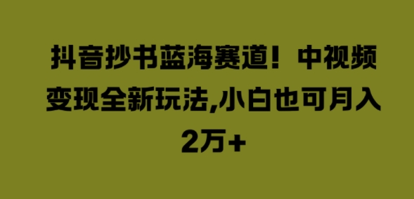 抖音抄书蓝海赛道，中视频变现全新玩法，小白也可月入2W+-中创网_分享创业项目_助您在家赚钱
