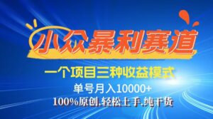 (12579期)【老人言】-视频号爆火赛道,三种变现方式,0粉新号调调爆款-中创网_分享创业项目_助您在家赚钱