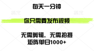 （12538期）矩阵单日1000+，你只需要发布视频，用时一分钟，无需剪辑，无需拍摄-中创网_分享创业项目_助您在家赚钱