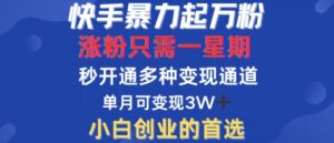 快手暴力起万粉，涨粉只需一星期，多种变现模式，直接秒开万合，单月变现过W【揭秘】-中创网_分享创业项目_助您在家赚钱