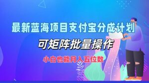 （12515期）最新蓝海项目支付宝分成计划，可矩阵批量操作，小白也能月入五位数-中创网_分享创业项目_助您在家赚钱