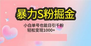 （12778期）单人单机日引千粉，变现1000+，S粉流量掘金计划攻略-中创网_分享创业项目_助您在家赚钱