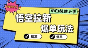 悟空拉新爆单玩法，精准引流，小白分分钟上手-中创网_分享创业项目_助您在家赚钱