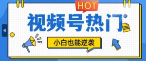 视频号分成计划热门赛道,把握流量,小白也能逆袭-中创网_分享创业项目_助您在家赚钱