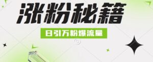 最新小和尚抖音涨粉，日引1万+，流量爆满-中创网_分享创业项目_助您在家赚钱