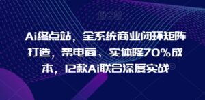 Ai终点站,全系统商业闭环矩阵打造,帮电商、实体降70%成本,12款Ai联合深度实战【0906更新】-中创网_分享创业项目_助您在家赚钱