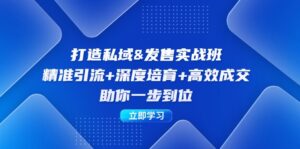 （12642期）打造私域&发售实操班：精准引流+深度培育+高效成交，助你一步到位-中创网_分享创业项目_助您在家赚钱