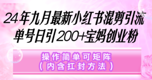 (12530期)小红书混剪引流,单号日引200+宝妈创业粉,操作简单可矩阵(内含扛封…-中创网_分享创业项目_助您在家赚钱