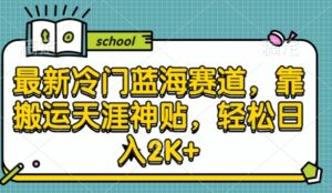 最新冷门蓝海赛道,靠搬运天涯神贴,轻松日入2K+-中创网_分享创业项目_助您在家赚钱