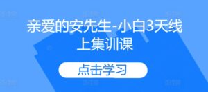 亲爱的安先生-小白3天线上集训课-中创网_分享创业项目_助您在家赚钱