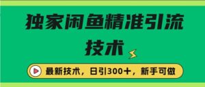 闭鱼精准引流，日引300+创业粉保姆级教程，新手可做-中创网_分享创业项目_助您在家赚钱