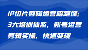 IP切片剪辑运营陪跑课,3大培训体系:账号运营 剪辑实操 快速变现-中创网_分享创业项目_助您在家赚钱