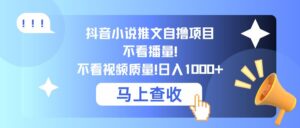 抖音小说推文自撸项目,不看播量,不看视频质量,日入几张-中创网_分享创业项目_助您在家赚钱
