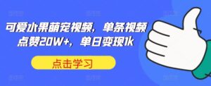 可爱水果萌宠视频,单条视频点赞20W+,单日变现1k【揭秘】-中创网_分享创业项目_助您在家赚钱