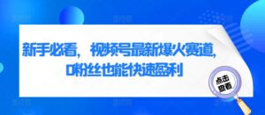 新手必看,视频号最新爆火赛道,0粉丝也能快速盈利-中创网_分享创业项目_助您在家赚钱