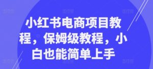 小红书电商项目教程,保姆级教程,小白也能简单上手-中创网_分享创业项目_助您在家赚钱