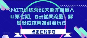 小红书训练营28天撕开流量入口第七期,Get优质流量,解锁低成本精准引流玩法-中创网_分享创业项目_助您在家赚钱
