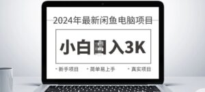 2024最新闲鱼电脑项目,动手就能吃肉的好项目-中创网_分享创业项目_助您在家赚钱