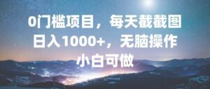 （13160期）0门槛项目，每天截截图，日入1000+，轻松无脑，小白可做-中创网_分享创业项目_助您在家赚钱