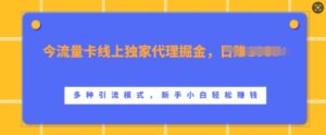 流量卡线上独家代理掘金,日入1k+ ,多种引流模式,新手小白轻松上手【揭秘】-中创网_分享创业项目_助您在家赚钱