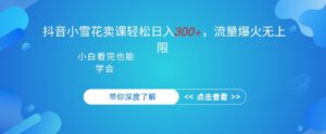 抖音硬核小雪花卖课,单日轻松3张,可多号操作-中创网_分享创业项目_助您在家赚钱