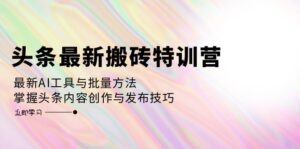 (12819期)头条最新搬砖特训营:最新AI工具与批量方法,掌握头条内容创作与发布技巧-中创网_分享创业项目_助您在家赚钱