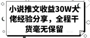 小说推文收益30W大佬经验分享,全程干货毫无保留-中创网_分享创业项目_助您在家赚钱