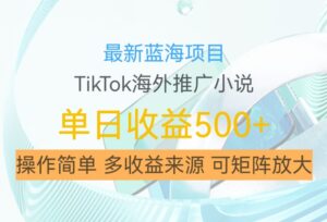 最新蓝海项目,利用tiktok海外推广小说赚钱佣金,简单易学,日入500+,可矩阵放大【揭秘】-中创网_分享创业项目_助您在家赚钱