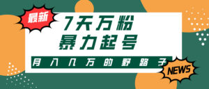 （13047期）3-7天万粉，快手暴力起号，多种变现方式，新手小白秒上手，单月变现几…-中创网_分享创业项目_助您在家赚钱