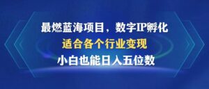 （12941期）最燃蓝海项目  数字IP孵化  适合各个行业变现  小白也能日入5位数-中创网_分享创业项目_助您在家赚钱