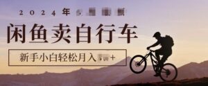 骑行圈的秘密之我在闲鱼卖自行车，项目门槛低，0成本就可以操作-中创网_分享创业项目_助您在家赚钱