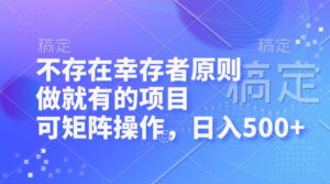 (12989期)不存在幸存者原则,做就有的项目,可矩阵操作,日入500+-中创网_分享创业项目_助您在家赚钱