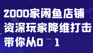 闲鱼已经饱和?纯扯淡!2000家闲鱼店铺资深玩家降维打击带你从0–1-中创网_分享创业项目_助您在家赚钱